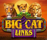 Big Cat Links